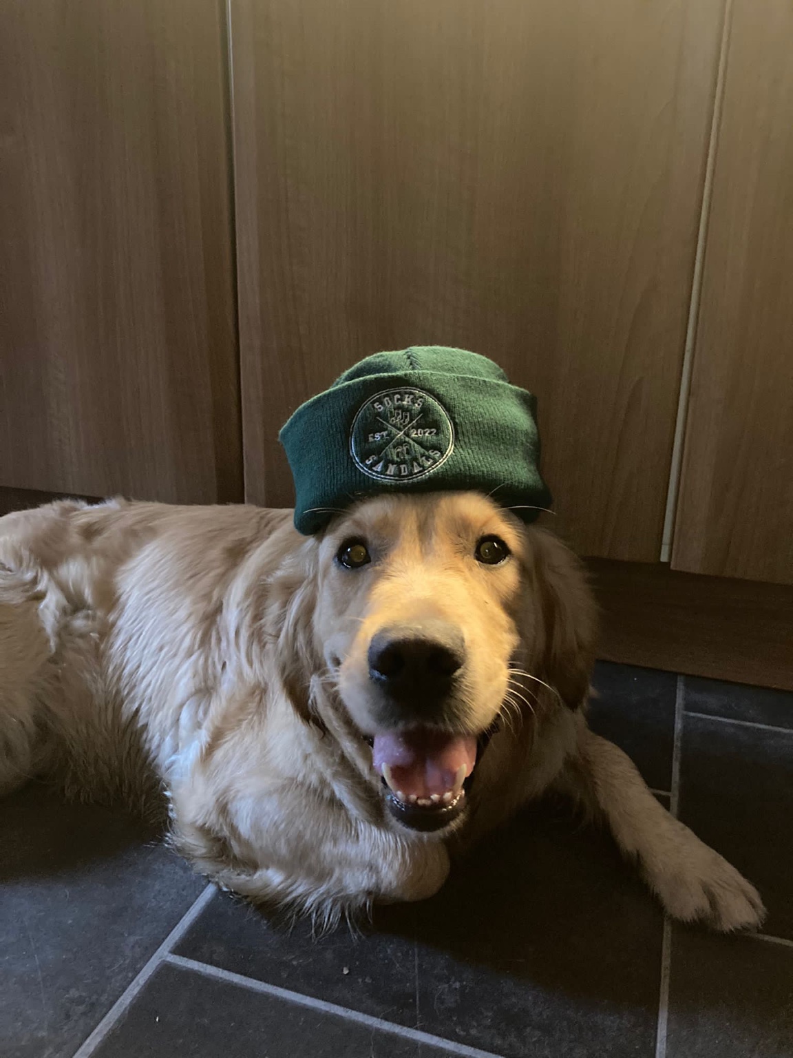 Bonnie, honorary member and two-time MVP, wearing the official green beanie